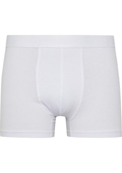 Erkek Regular Fit 3'lü Boxer A3152AX24SM fiyatları