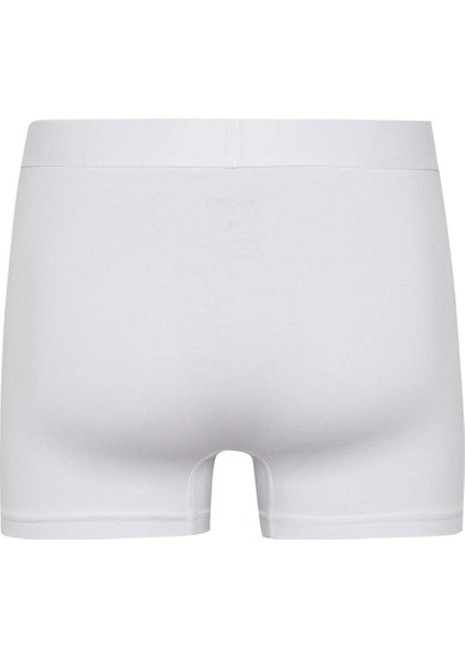 Erkek Regular Fit 3'lü Boxer A3152AX24SM