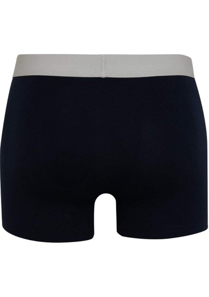 Regular Fit 3'lü Boxer C9533AX24AU modelleri