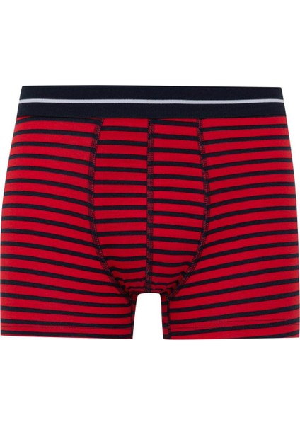 Regular Fit 3'lü Boxer A3157AX24SM