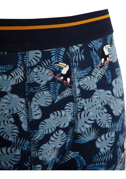 Regular Fit 3'lü Boxer A3158AX24SM