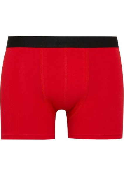 Regular Fit 3'lü Boxer E0115AX24AU