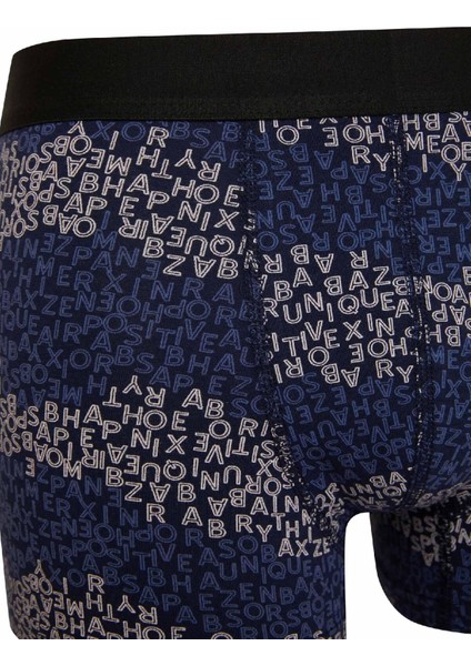 Regular Fit 3'lü Boxer E0115AX24AU