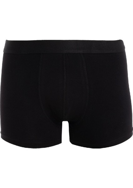 Regular Fit 3'lü Boxer E0116AX24AU