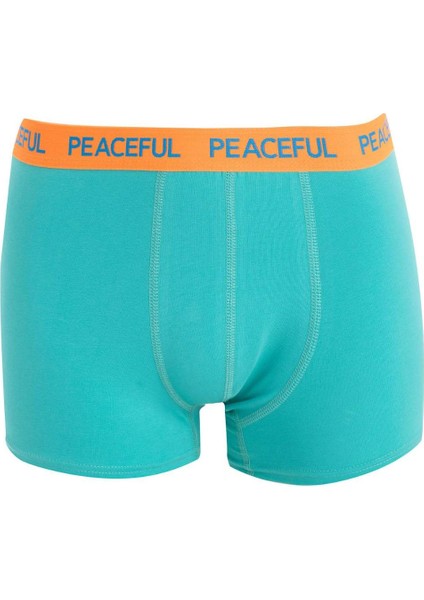 Regular Fit 3'lü Boxer B7774AX24AU