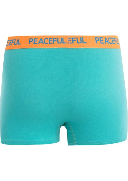 Regular Fit 3'lü Boxer B7774AX24AU