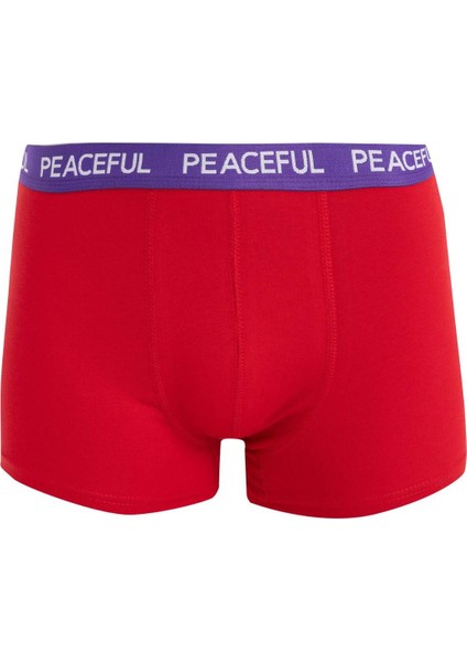 Regular Fit 3'lü Boxer B7774AX24AU