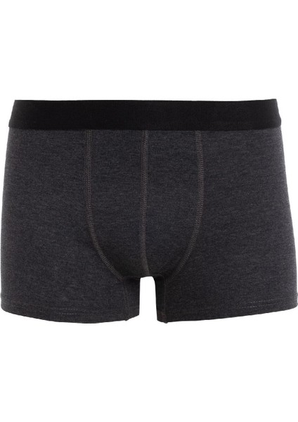 Regular Fit 3'lü Boxer E0116AX24AU