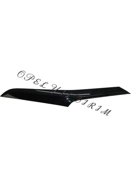 Arka Çamurluk Üst Çıtası : Sağ Opel Corsa F Bm 20- (Oem No: 9829996780)