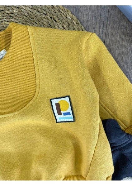 3 Iplik Içi Şardonlu Armalı Kışlık Erkek Bebek Takım fiyatları