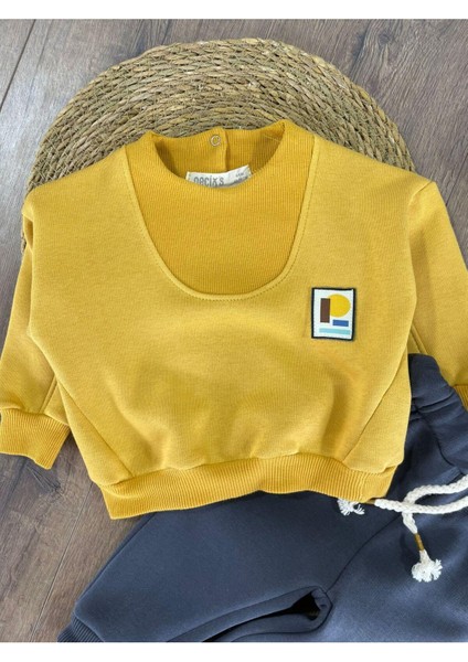 3 Iplik Içi Şardonlu Armalı Kışlık Erkek Bebek Takım modelleri