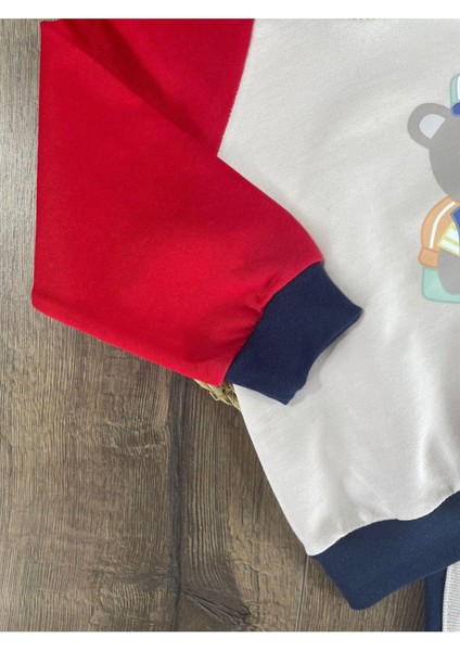 Teddy Ayıcık Baskılı Kapüşonlu Renkli Kol Detaylı Erkek Bebek Takım modelleri