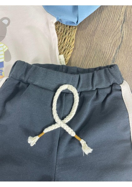 Teddy Ayıcık Baskılı Kapüşonlu Renkli Kol Detaylı Erkek Bebek Takım fırsatları