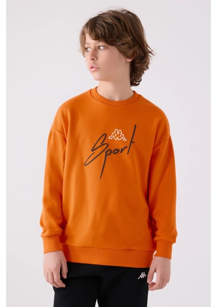 Erkek Çocuk Sweatshirt 351V2PW fiyatları