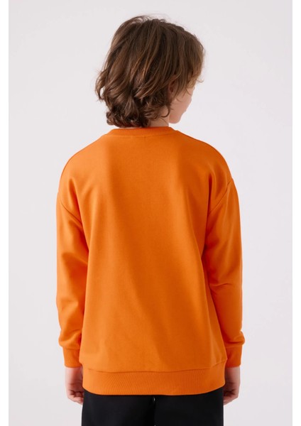Erkek Çocuk Sweatshirt 351V2PW indirimleri