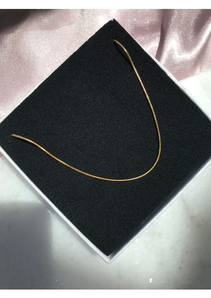 Yılan Zincir Kolye Çelik Kararmaz Kız ve Erkek Unisex Kolye