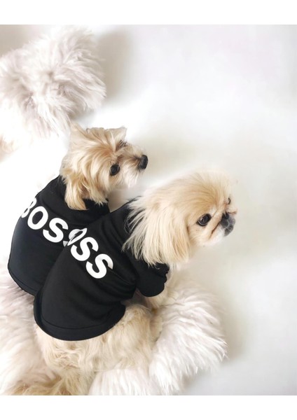 Dog Boss Köpek Tişört