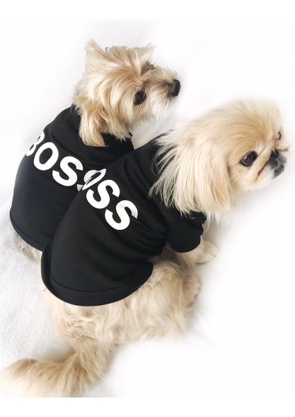 Boss Köpek Tişört