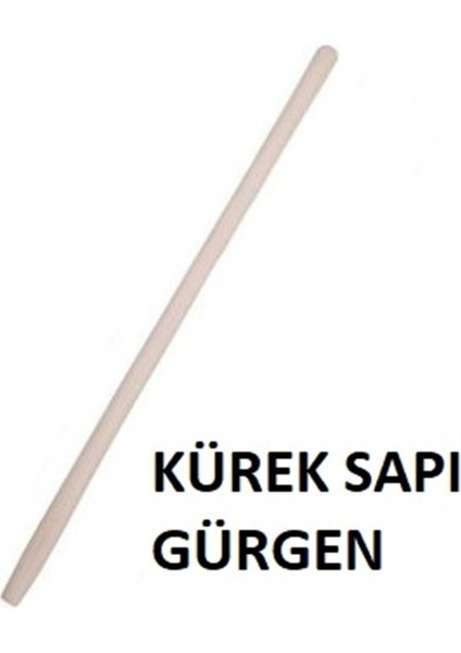 Kürek Sapı Gürgen