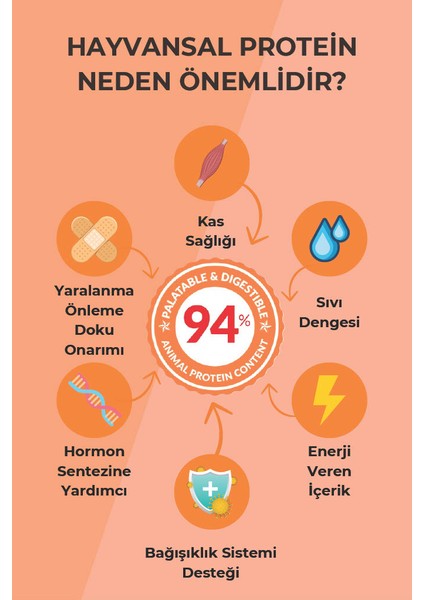 10 kg Somonlu Yavru Kedi Maması 10 kg