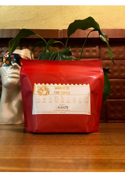 Doz Roastery Christmas Edition Ethiopia Wamena Natural Anaerobic Organic 250 gr