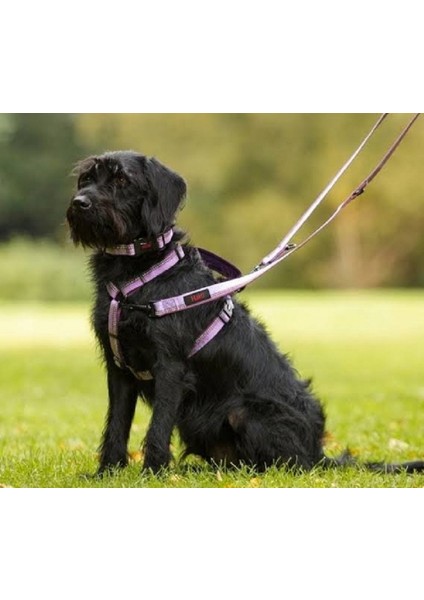 Çift Karabinalı Köpek Gezdirme Kayışı.çift Kançalı Köpek Gezdirme Kayışı. Orta Irk (35KILOYAKADAR( modelleri