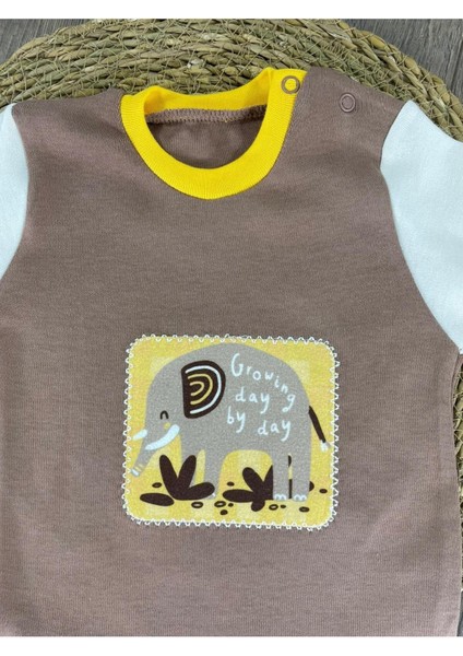 Yenidoğan Organik Pamuk 3lü Erkek Bebek Tulum Set fırsatları