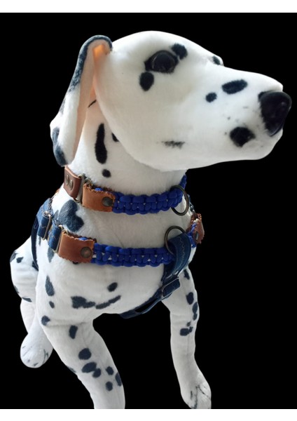 Köpek Göğüs Boyun Tasma Seti Kot Deri Göğüs ÖLÇÜSÜ:45-80CM BOYUN:34-46CM Ayarlı Dog Harness Tb5-24