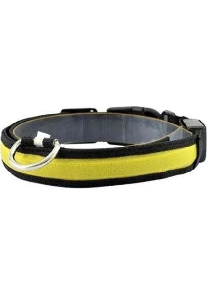 Işıklı Ayarlanabilir Flaşörlü Kedi ve Köpek Boyun Tasması Sarı 45-52 Cm / 2.5 Cm