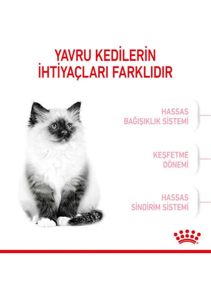 Kitten Yavru Kuru Kedi Maması 2 Kg