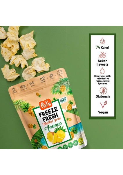 Freeze Fresh Ananas 20 g x 15 Adet Freeze Dry Dondurularak Kurutulmuş Meyve