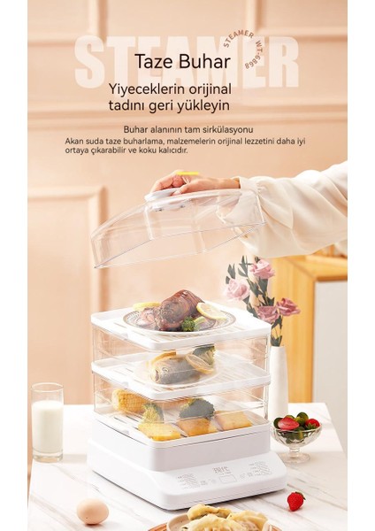 Ev Tipi Entegre Çok Işlevli Çok Elektrikli Buharlayıcı (Yurt Dışından) fiyatları