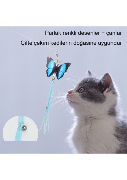 Masif Ahşap Saplı Kedi Flört Çubuğu (Yurt Dışından)