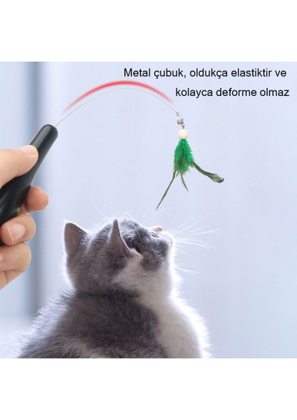 Masif Ahşap Saplı Kedi Flört Çubuğu (Yurt Dışından)