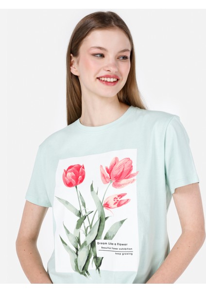 Regular Fit Yuvarlak Yaka Kadın Yeşil Kısa Kol Tişört Cl1067997