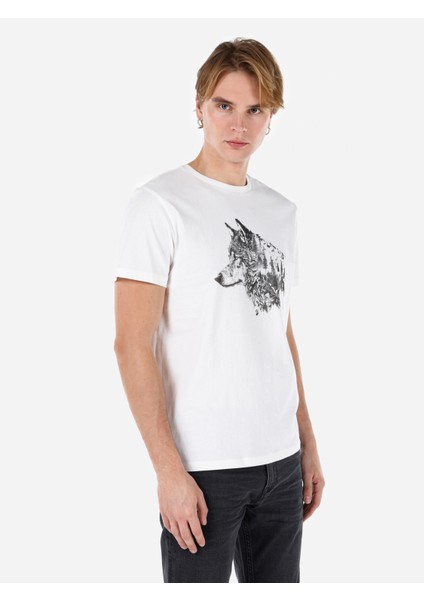 Regular Fit Yuvarlak Yaka Erkek Beyaz Kısa Kol Tişört Cl1068515
