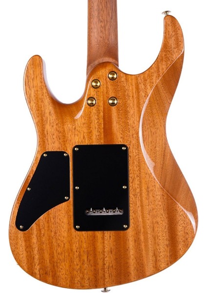 Modern Custom Elektro Gitar