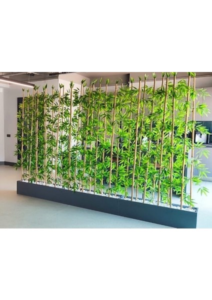 Lüks Zerafet - Yapay Bambu Ağacı 2 Metre Boyunda Set 2 Adet Antrasit Gri Saksıda