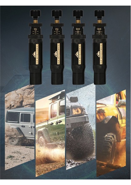 Ayarlanabilir Otomatik Durdurmalı Lastik Hava Söndürme Valfi Takımı (10-30 Psı) (Yurt Dışından)