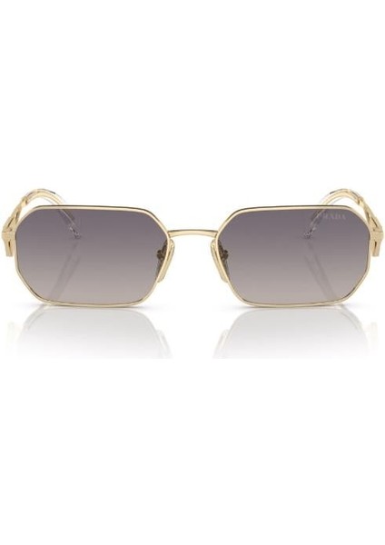 A51S ZVN30C 58 Kadın Güneş Gözlüğü fiyatları