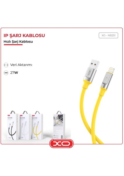 6A Fast Hızlı Quick USB To Lightning Apple iPhone iPad Uyumlu Metal Uçlu Data Veri Şarj Kablosu NB251