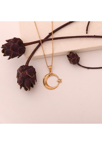 925 Ayar Altın Kaplama Ay Yıldız Gümüş Kolye - CN00409 modelleri