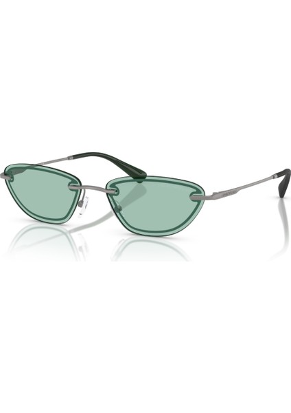 Ea 2158 3003/2 57 Emporio Armani Kadın Güneş Gözlüğü