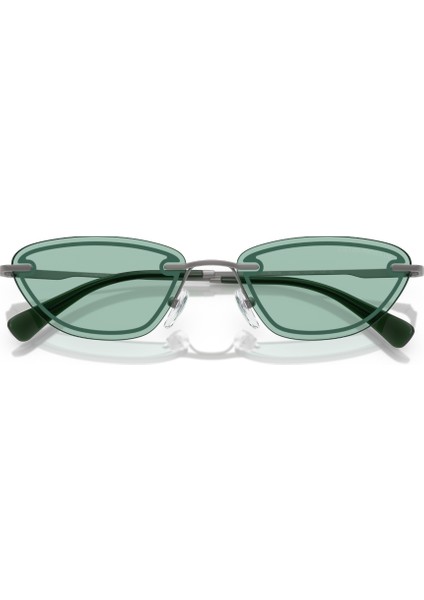 Ea 2158 3003/2 57 Emporio Armani Kadın Güneş Gözlüğü indirimleri