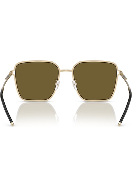 Ea 2159D 301373 57 Emporio Armani Kadın Güneş Gözlüğü modelleri