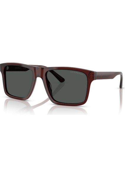Ea 4232 617487 57 Emporio Armani Erkek Güneş Gözlüğü