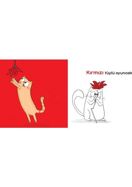 Kedi Ponçik’in Sevdikleri – Renkler Kitabı - Özlem Fedai Korçak