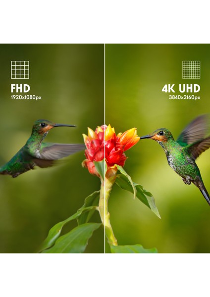 65UG4S14 65" 164 Ekran Uydu Alıcılı 4K Ultra HD Google LED TV