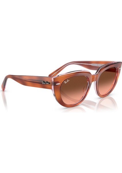 Rb 2286 1415A5 49 Ray-Ban Doreen Kadın Güneş Gözlüğü fırsatları