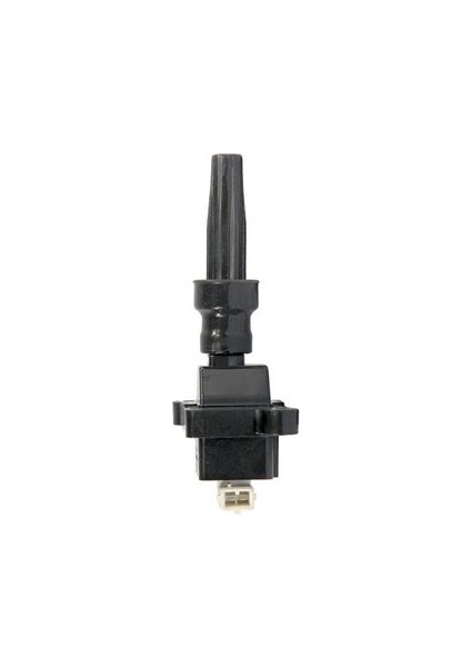 30176 Ateşleme Bobini Zx 2.0 16V-XSARA 2.0 16V 5970.55